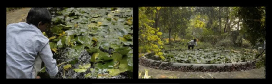 Surreal Pond II- Detritus