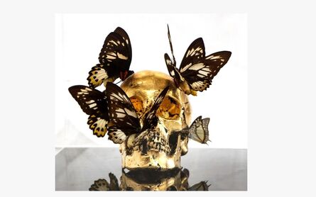 Philippe Pasqua, ‘Vanité aux papillons ’, 2009
