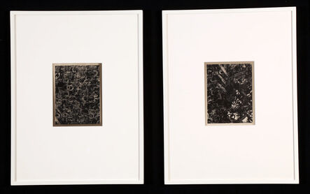 Anthony Pearson, ‘Untitled (Solarization Diptych)’, 2010