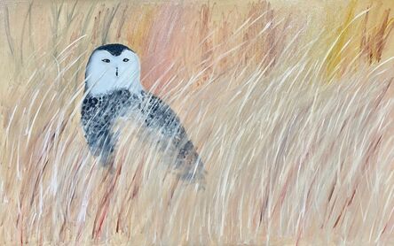 Gemma Kahng, ‘Owl in Field of Grass’, 2021