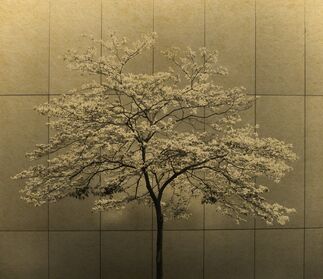 Albarrán Cabrera, ‘The Mouth of Krishna. #196’, 2016