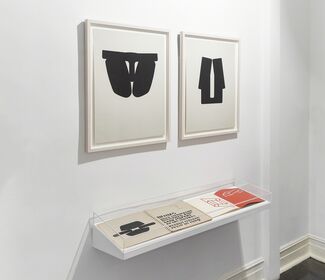 Analogues and Opposites, installation view