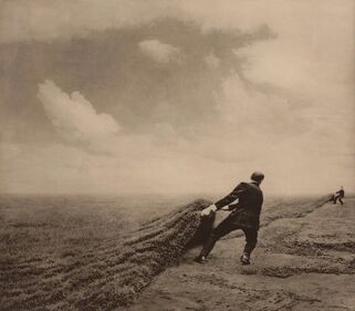 Robert and Shana ParkeHarrison, ‘Reclamation’, 2003