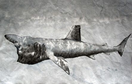 Jim Holyoak, ‘Bashing Shark’, 2008