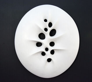 Jana Osterman, ‘Biomorphic No 5’, 2019