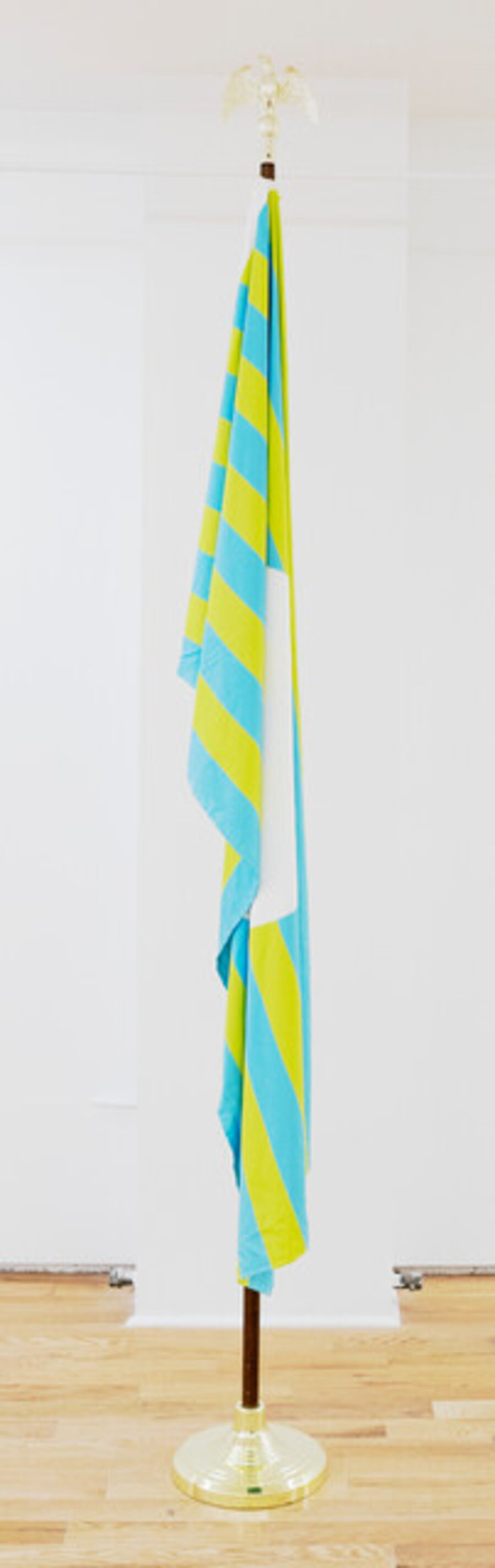 The Flag