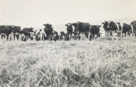 Eleanor Antin, ‘100 Boots in a Meadow, from the series 100 Boots, a set of 51 photo-postcards’, 1971