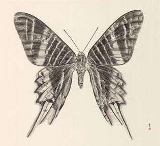 Zhang Yirong 張藝蓉, ‘Butterfly 1’, 2018