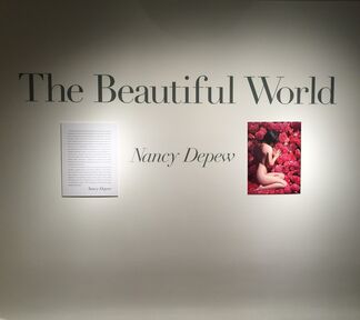 Nancy Depew, “The Beautiful World”, Solo Exhibition, installation view