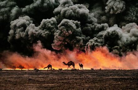 Steve McCurry, ‘Struggling camels silhouetted against the oil-fire, al-Ahmadi oil field, Kuwait’, 1991