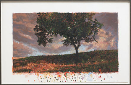 David Claerbout, ‘Backwards Growing Tree (Red Evening Light)’, 2023