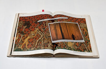 Joanne Leonard, ‘Forrest Fire and Medieval Tapestry of Trees ’, 2010