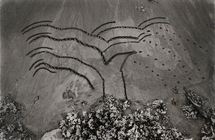John Wood, ‘Beach Drawing’, 1983