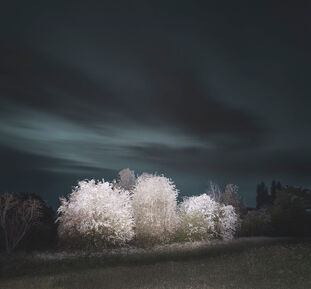 Justin Pumfrey, ‘Ham Lands’, 2022