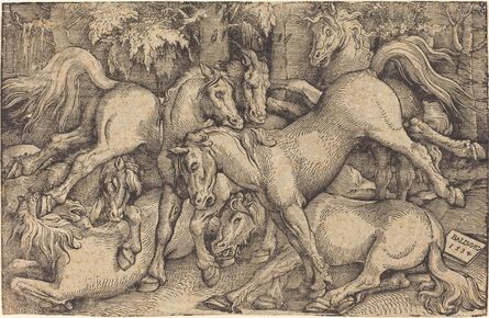 Hans Baldung, ‘Group of Seven Horses in Woods’, 1534