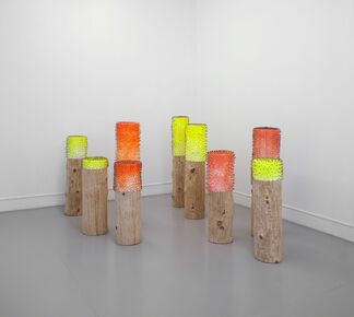Karim Forlin | Mem | Galerie Laurence Bernard, installation view