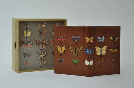 Hannah Brown, ‘Butterflies and Moths (British) by W. Furneaux’