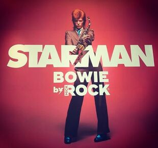 David Bowie by Mick Rock, installation view