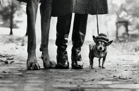 Elliott Erwitt, ‘New York (Dog Legs)’, 1974