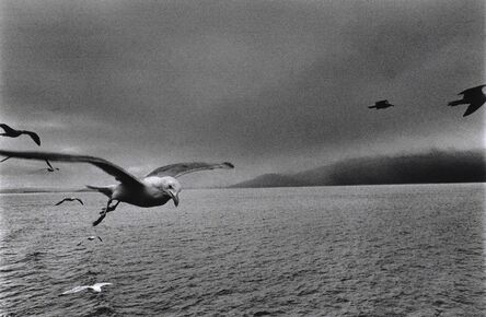 Josef Koudelka, ‘Scotland’, 1977