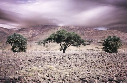Bernhard Quade, ‘Morocco Atlas Three Trees’, 2011