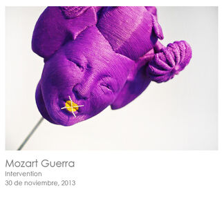 Mozart Guerra: Intervention, installation view