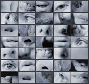 Carolee Schneemann, ‘Portrait Partials’, 1970/2007