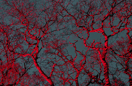 George McLeod, ‘Untitled #7 /"red laser trees"’, 2021