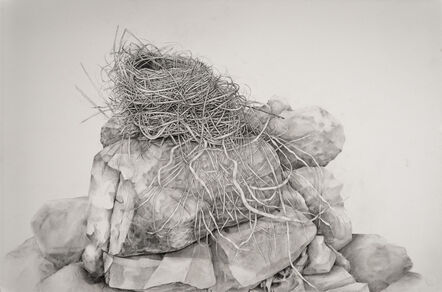 Amelia Hankin, ‘Nest on Rock’, 2021