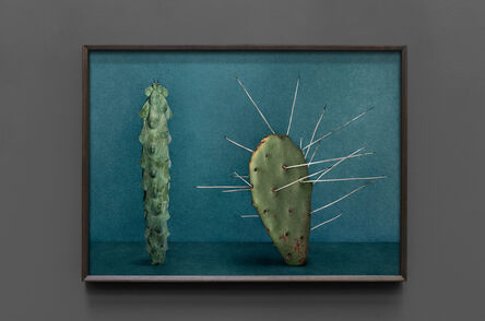 Mario Testino, ‘Cactus (IV)’, 2021