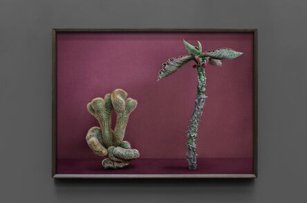 Mario Testino, ‘Cactus (III)’, 2021
