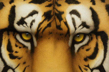 Tom Palmore, ‘Tiger Eyes’, n.d.
