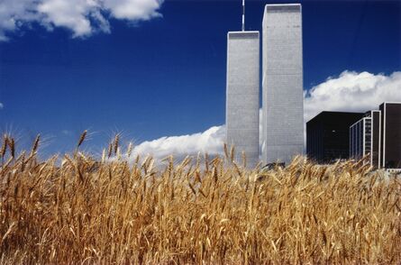 Agnes Denes, ‘Wheatfield - A Confronatation: Battery Park Landfill, Downtown Manhattan - Blue Sky, World Trade Center’, 1982/2013