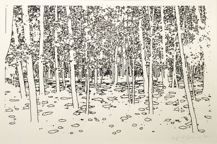 April Gornik, ‘Light in the Woods’, 2011