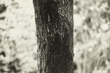 Koji Enokura, ‘P. W. – No.70’, 1983