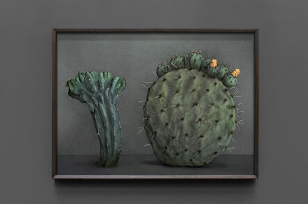 Mario Testino, ‘Cactus (II)’, 2021