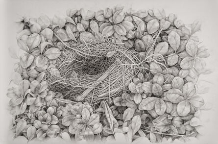 Amelia Hankin, ‘Nest in Leaves’, 2021