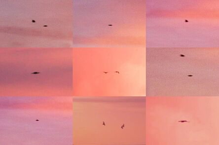 Penelope Umbrico, ‘Suns from Sunsets from Flikr - Outtakes/ Birds (Pink)’, 2018