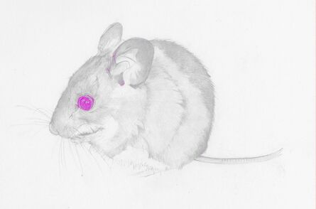 Heather Lancaster, ‘Field Mouse’, 2015