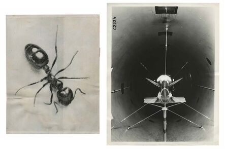 Murray Moss, ‘TQ 81/82: Fire Ant/ARMY Wind Tunnel’, 1960/1941