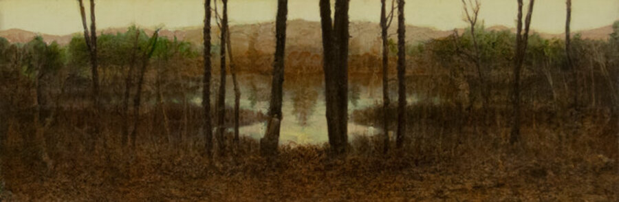Trees and Pond