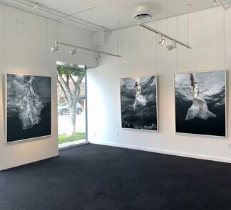 SURFACING by Barbara Cole, installation view