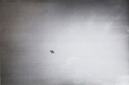 Felix Gonzalez-Torres, ‘Untitled (Bird)’, 2017