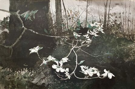 Andrew Wyeth, ‘Dogwood’, 1983