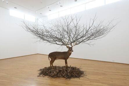 Myeongbeom Kim, ‘Deer’, 2008