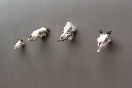 Chiara Lecca, ‘Garden (ovino, cervide, bovino, suino)’, 2008