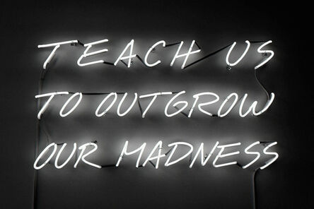 Alfredo Jaar, ‘Teach Us to Outgrow Our Madness’, 1995
