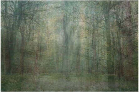 Amy Elkins, ‘Seven Years out of a Death Row Sentence (Forest)’, 2009-2016