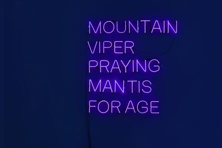 Olaf Nicolai, ‘MOUNTAIN VIPER PRAYING MANTIS FORAGE’, 2006