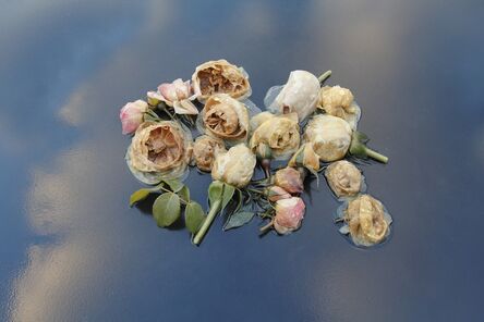 Mary Kocol, ‘Roses, Table, Sky, (from the Ghost Garden Series)’, 2014